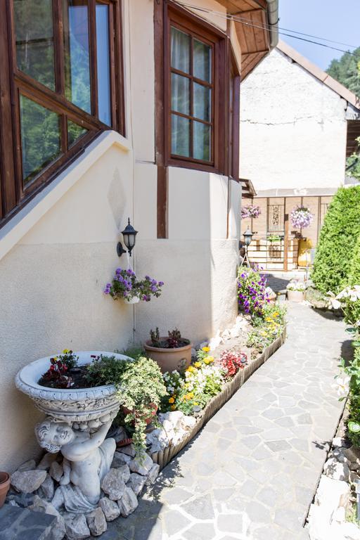 Pensiunea Kristin Brașov Exterior foto